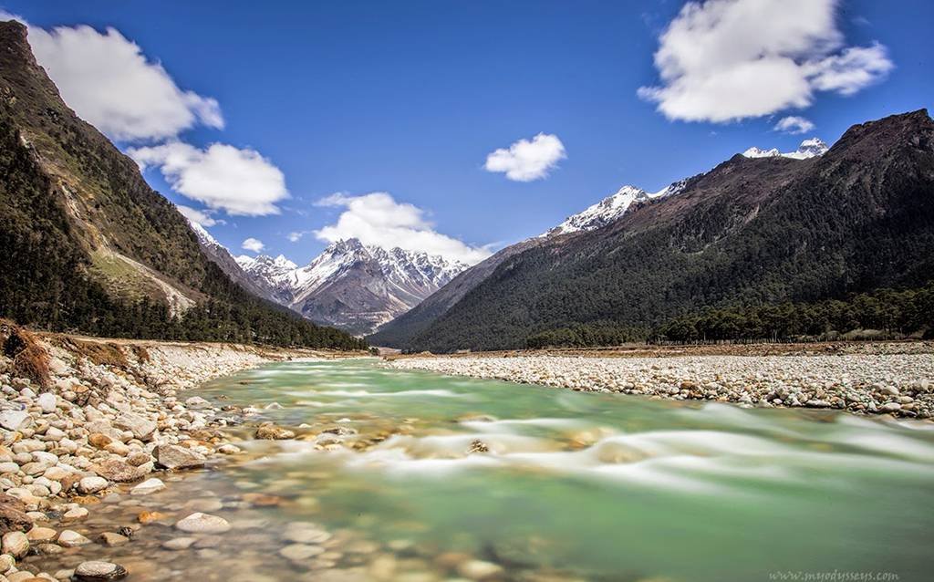 YUMTHANG VALLEY 